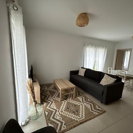 Chateauneuf-de-Galaure Appartement Avec Jardin מראה חיצוני תמונה